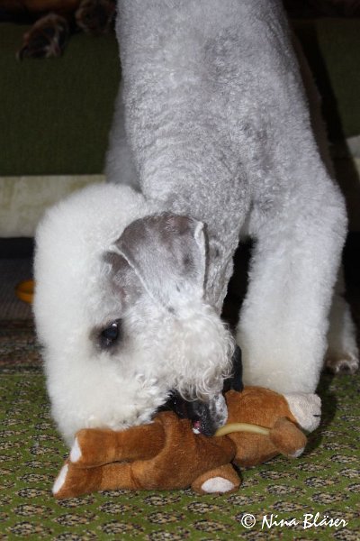 Quincy 2009-06-11 (3).JPG